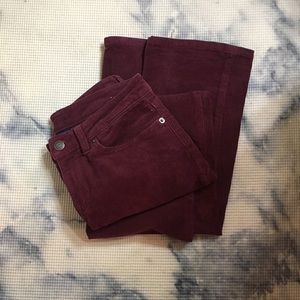 Patagonia Maroon Flare Cords
